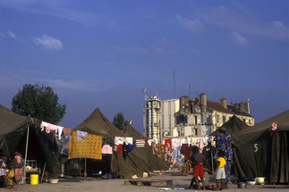 Lutte contre les exclusions : De la compassion au devoir d'interpellation et de vigilance, quelle forme de solidarité? (Dossier documentaire du Congrès de l'Uniopss 2007)